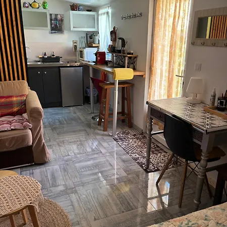 Maison Sur Jardin Piscine Avec Vue Sur Oranger Et Olivier Launaguet