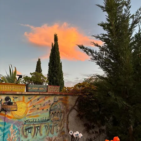 Maison Sur Jardin Piscine Avec Vue Sur Oranger Et Olivier * Launaguet