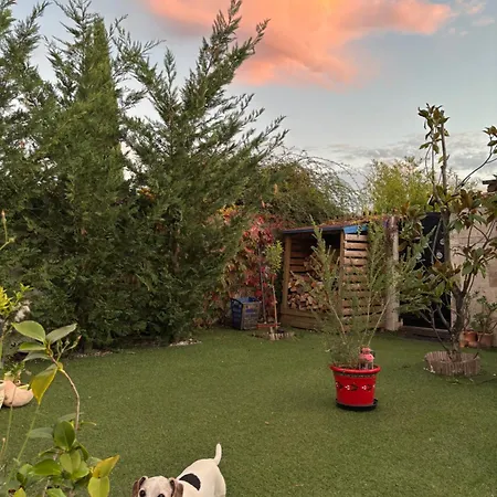 Maison Sur Jardin Piscine Avec Vue Sur Oranger Et Olivier Launaguet