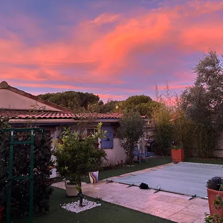 Maison Sur Jardin Piscine Avec Vue Sur Oranger Et Olivier