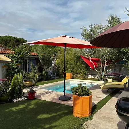 Maisonnette Tres Agreable Sur Jardin Vue Piscine * Launaguet