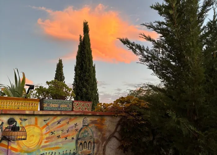 Maison Sur Jardin Piscine Avec Vue Sur Oranger Et Olivier * Launaguet