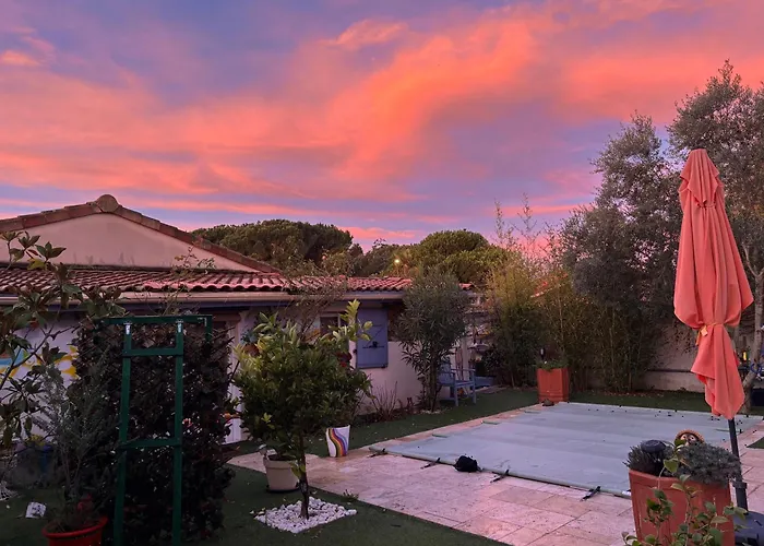 Maison Sur Jardin Piscine Avec Vue Sur Oranger Et Olivier